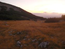 2013-10-08_Guffert (392)b.JPG